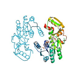 BU of 7cs8 by Molmil