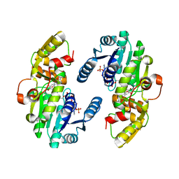 BU of 7csb by Molmil