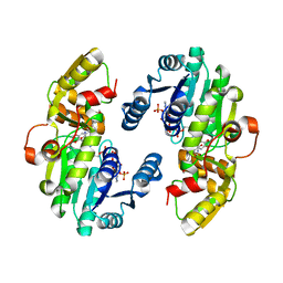 BU of 7csd by Molmil