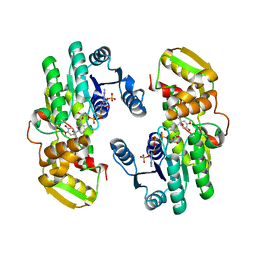 BU of 7cse by Molmil