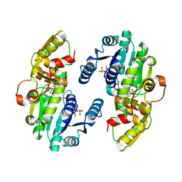 BU of 7csf by Molmil