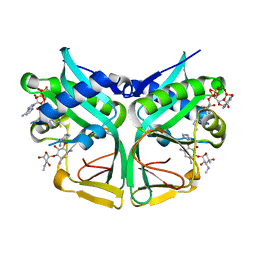 BU of 7csi by Molmil