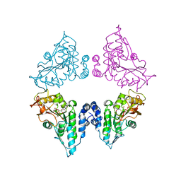 BU of 7ct9 by Molmil