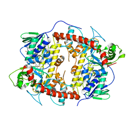 BU of 7cu1 by Molmil