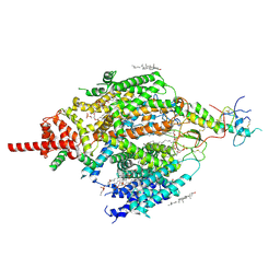 BU of 7cu3 by Molmil