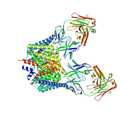 BU of 7cvs by Molmil