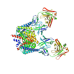 AU of 7cvt by Molmil