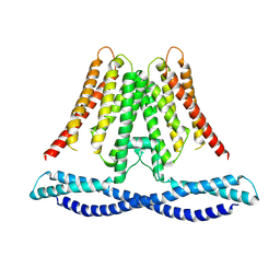 BU of 7cxr by Molmil