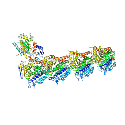 BU of 7db9 by Molmil