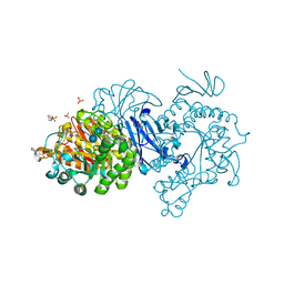 BU of 7dch by Molmil