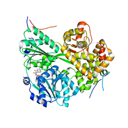 BU of 7dcp by Molmil