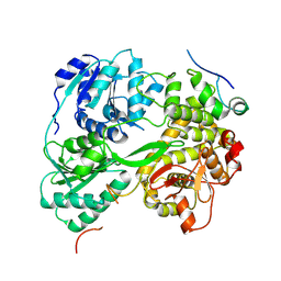 BU of 7dcr by Molmil