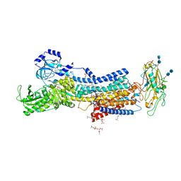 AU of 7ddj by Molmil