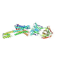 BU of 7dfp by Molmil