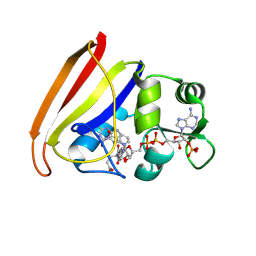 BU of 7dfr by Molmil