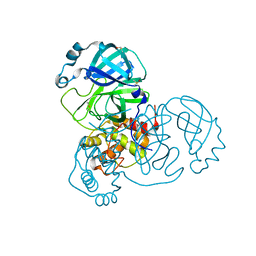 BU of 7djr by Molmil