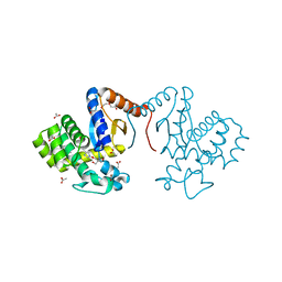 BU of 7dka by Molmil