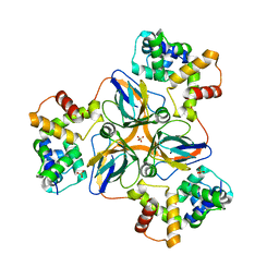 BU of 7dlv by Molmil