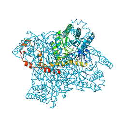 BU of 7dmm by Molmil