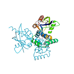 BU of 7dnt by Molmil