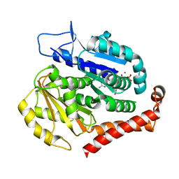 AU of 7don by Molmil