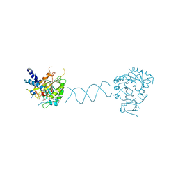 BU of 7dpe by Molmil