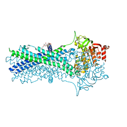 BU of 7dqv by Molmil