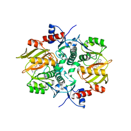 BU of 7drp by Molmil