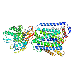 BU of 7dsl by Molmil