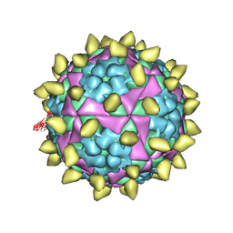 BU of 7dst by Molmil