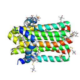 BU of 7dvm by Molmil