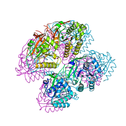 BU of 7dyk by Molmil