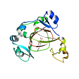 BU of 7dyv by Molmil