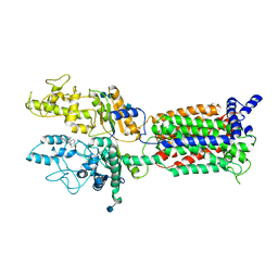 AU of 7dzp by Molmil