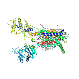 BU of 7e2g by Molmil