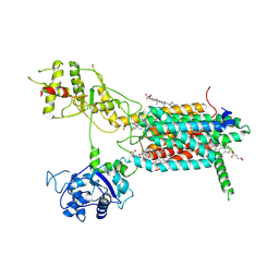 BU of 7e2h by Molmil