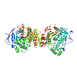 AU of 7e3i by Molmil