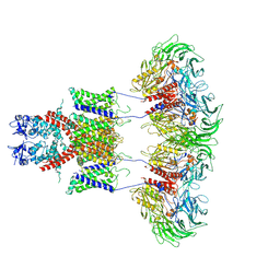 BU of 7e8b by Molmil