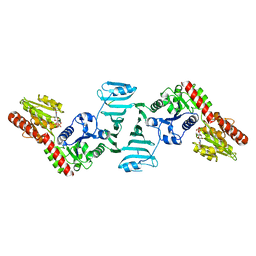 AU of 7ec4 by Molmil