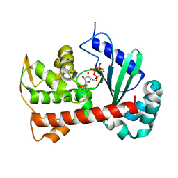 BU of 7ecd by Molmil