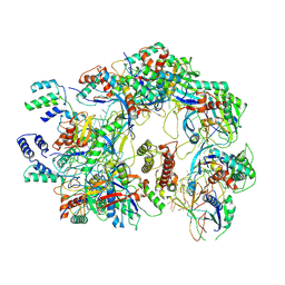 BU of 7ecv by Molmil