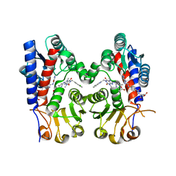 BU of 7ehn by Molmil