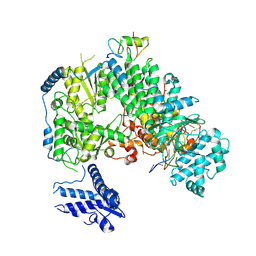 BU of 7elc by Molmil