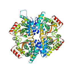 AU of 7elo by Molmil