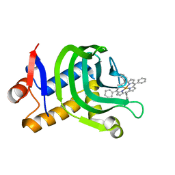 BU of 7emt by Molmil