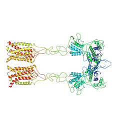 BU of 7epc by Molmil