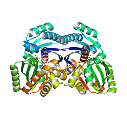 BU of 7epq by Molmil