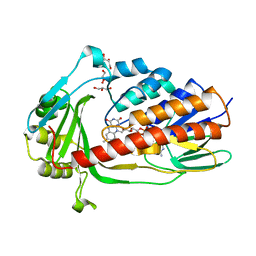 BU of 7epv by Molmil