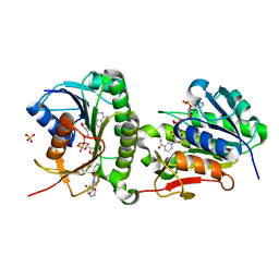 BU of 7erc by Molmil