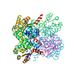 BU of 7etf by Molmil